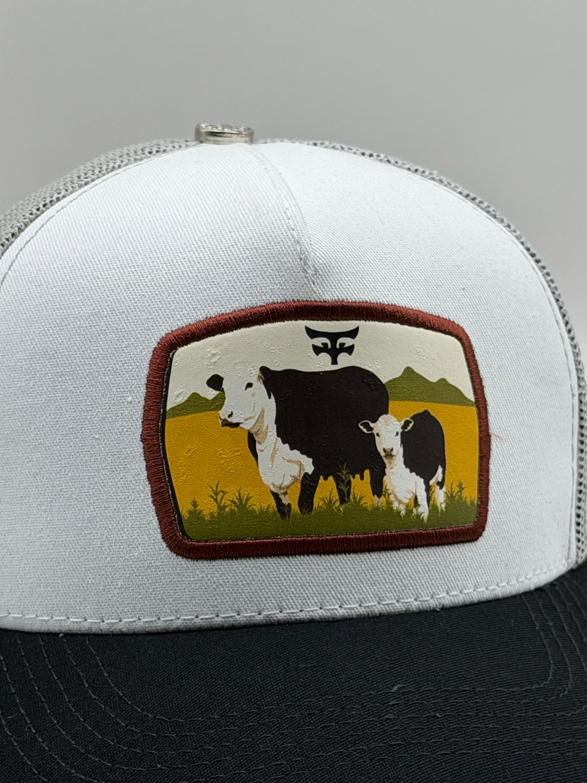 CATTLE RANCH