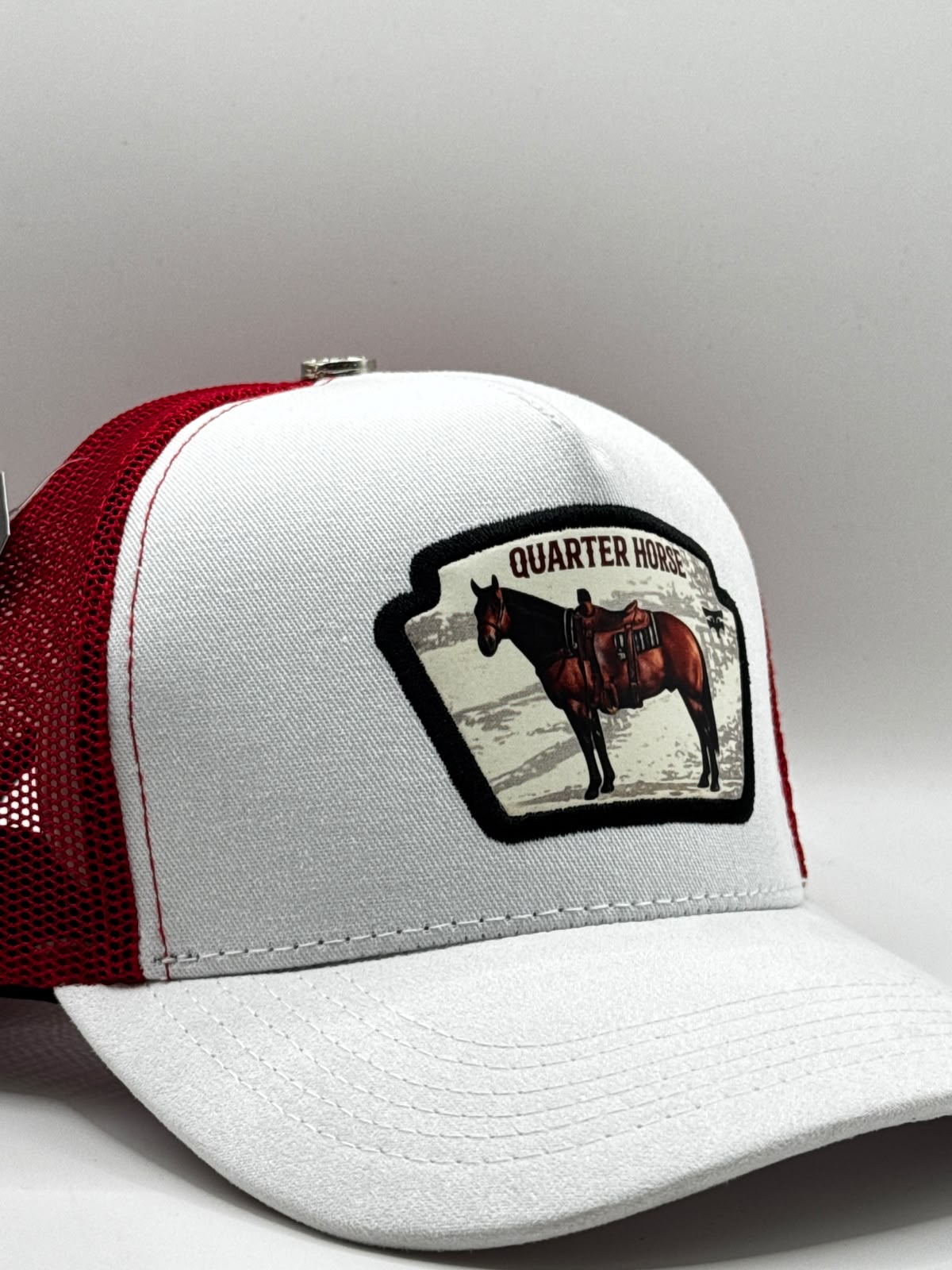 QUARTER HORSE