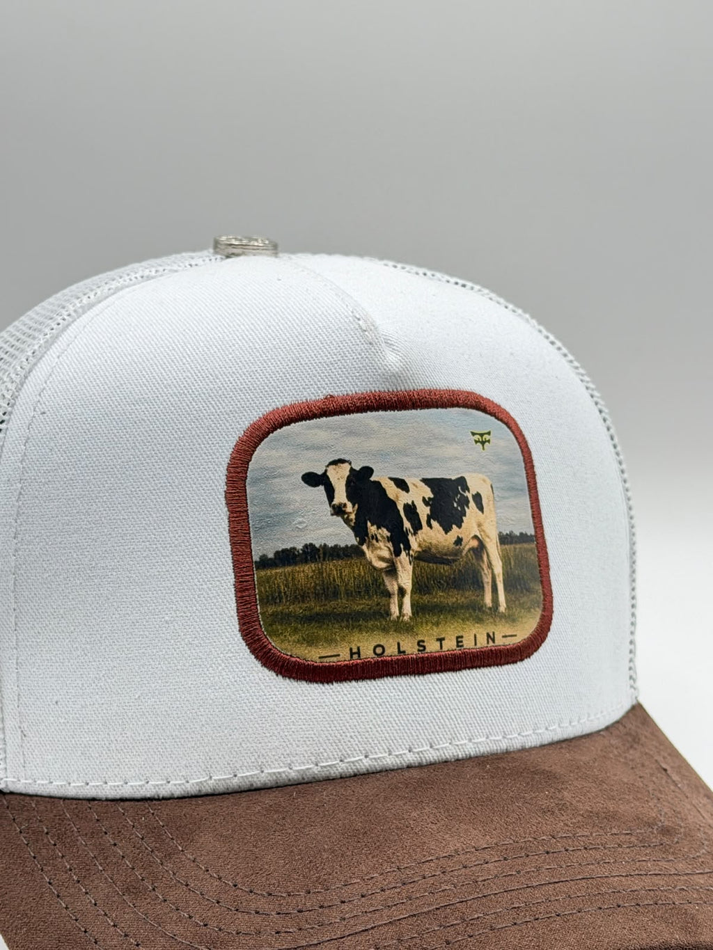 HOLSTEIN