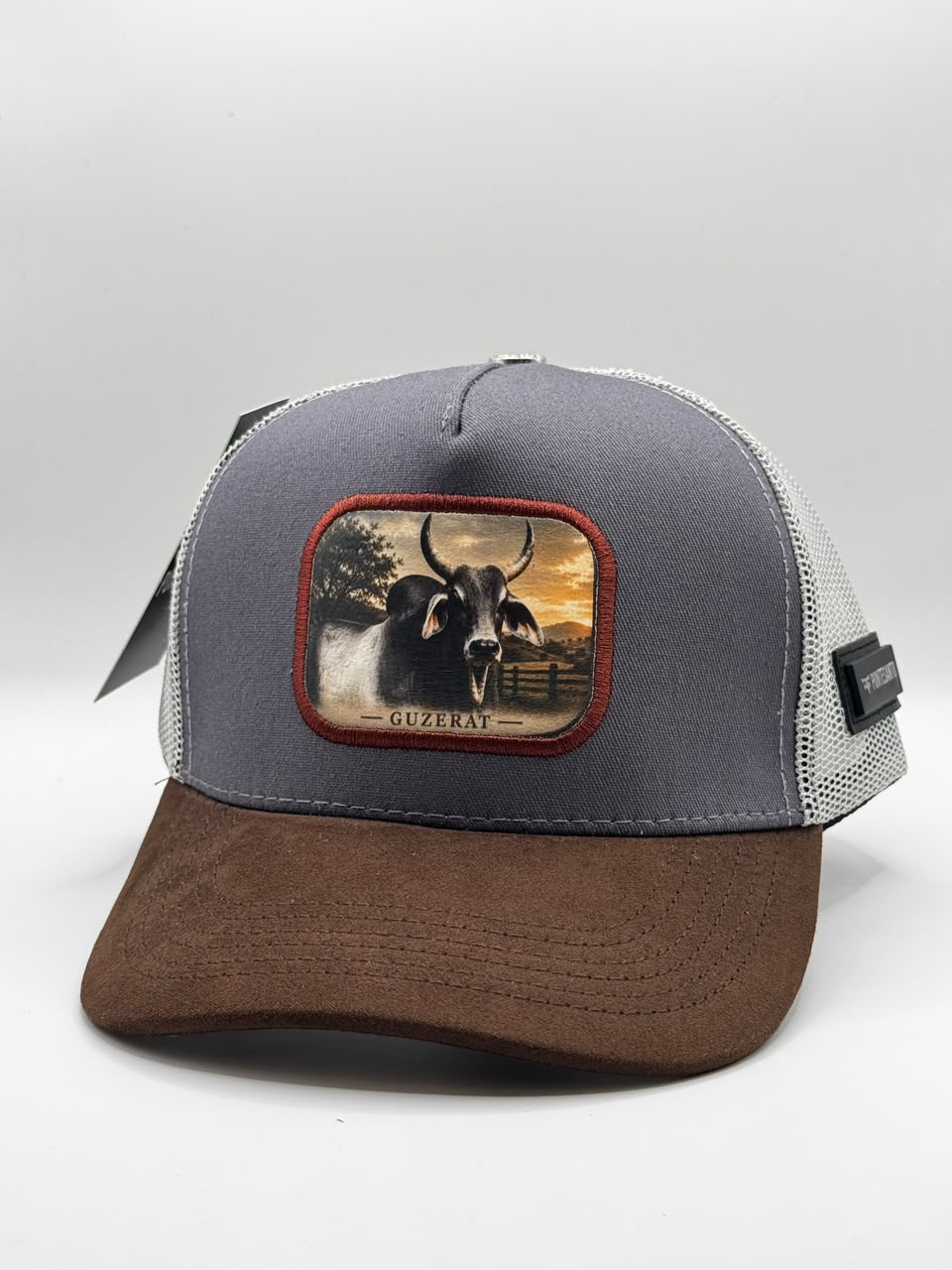 GUZERAT