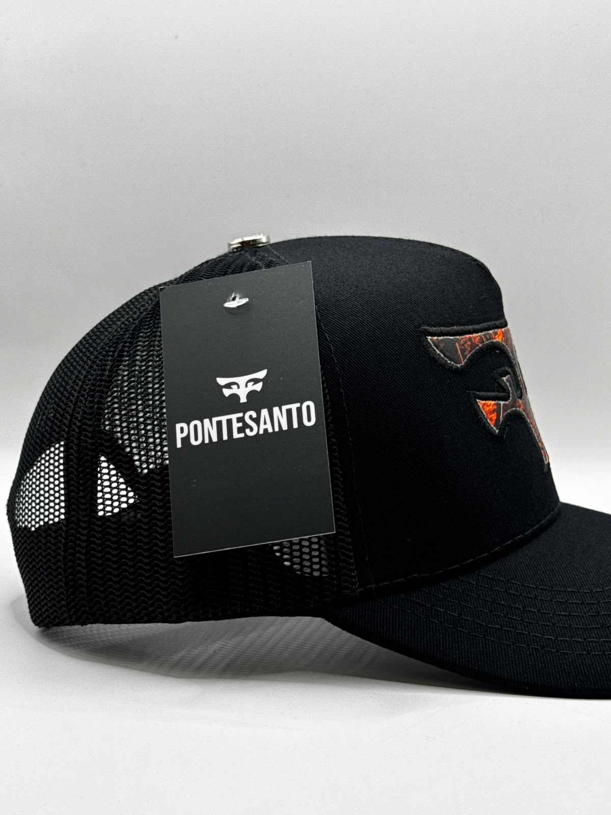 PONTE SANTO