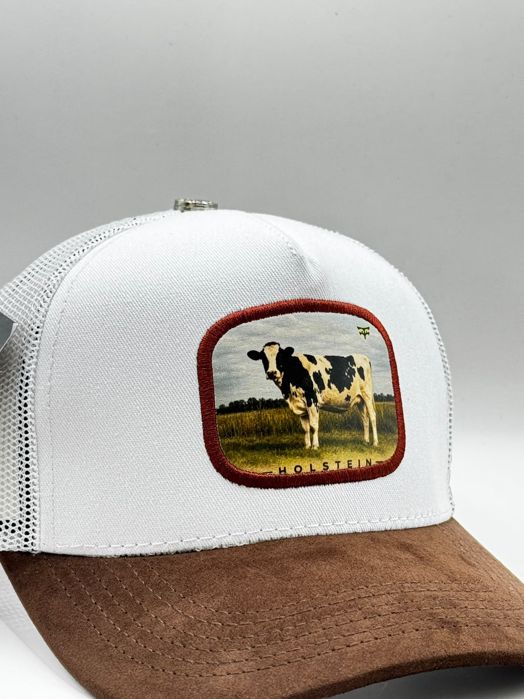 HOLSTEIN