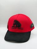 CABALLO CRIOLLO
