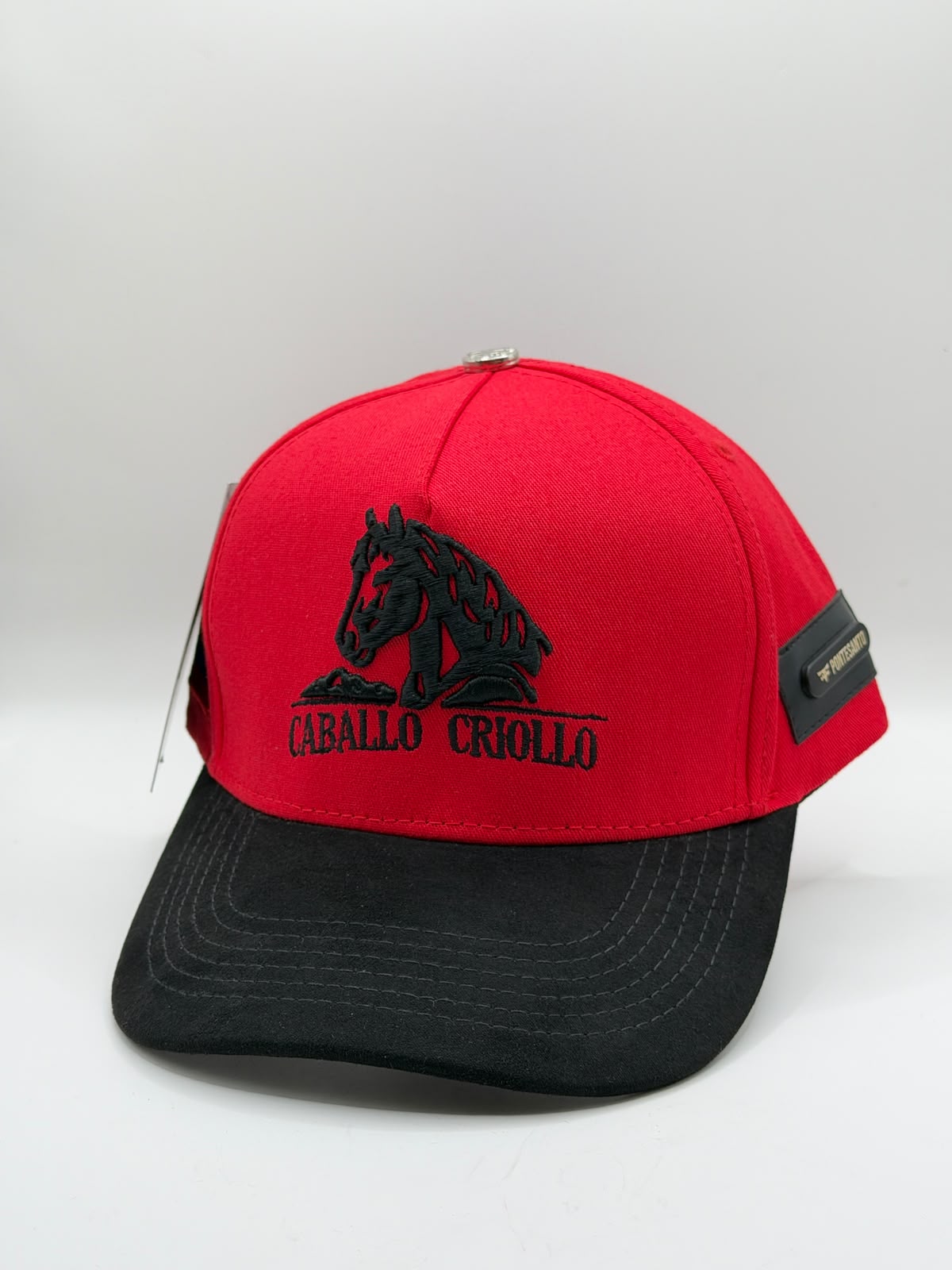 CABALLO CRIOLLO