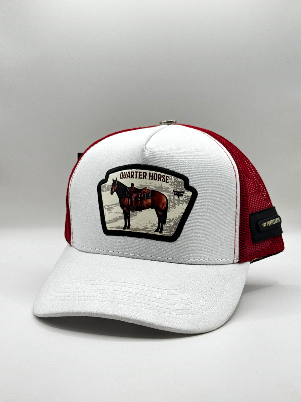 QUARTER HORSE