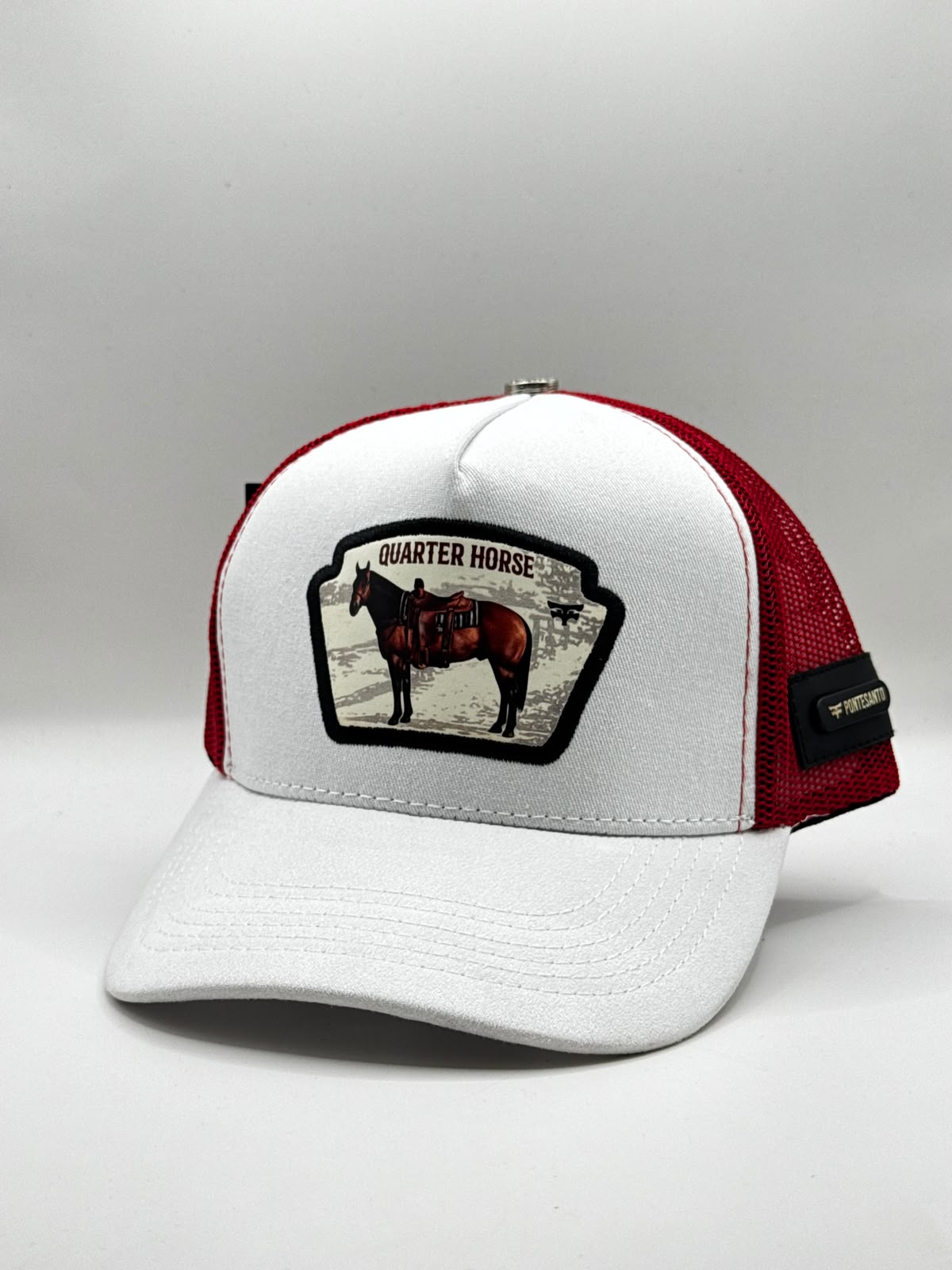 QUARTER HORSE