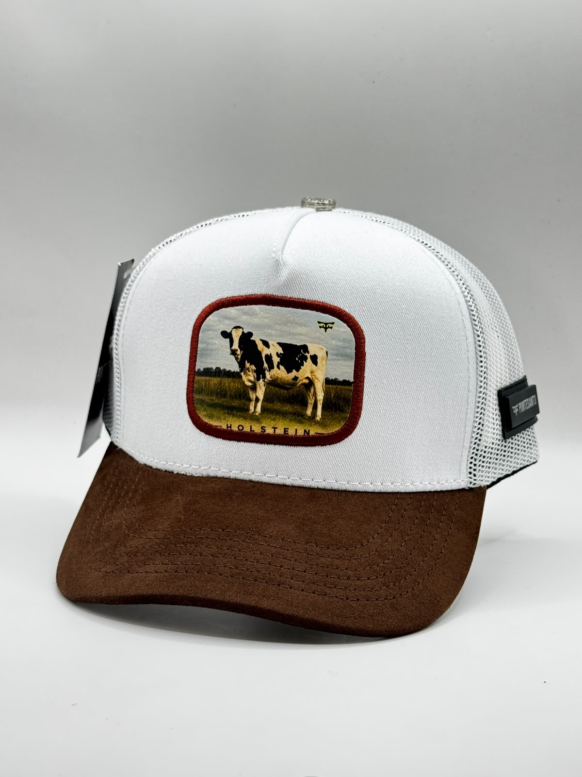 HOLSTEIN