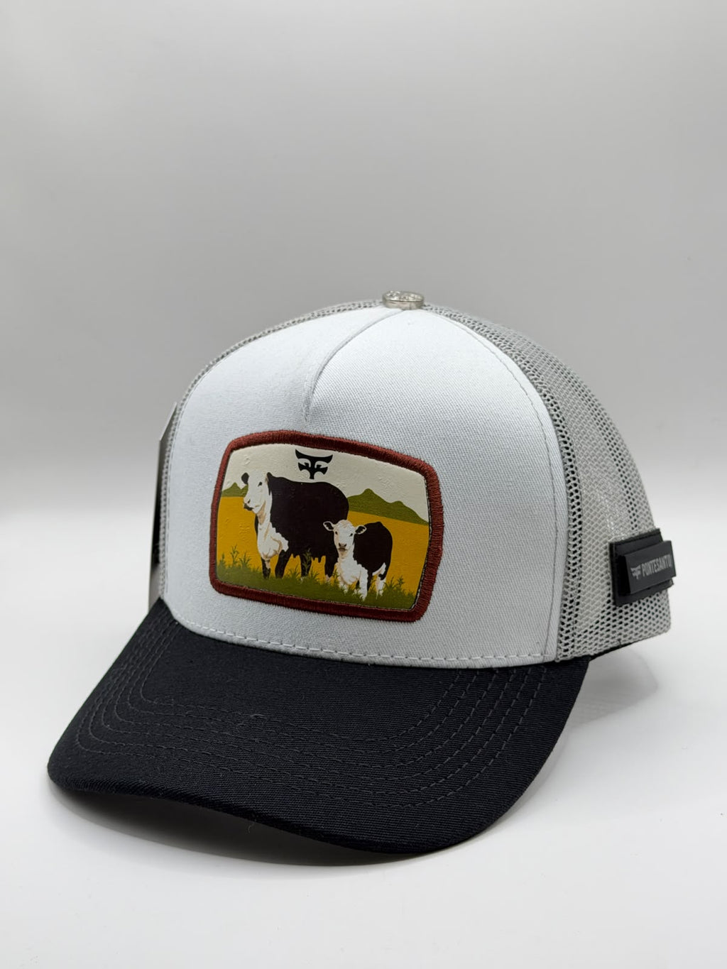 CATTLE RANCH