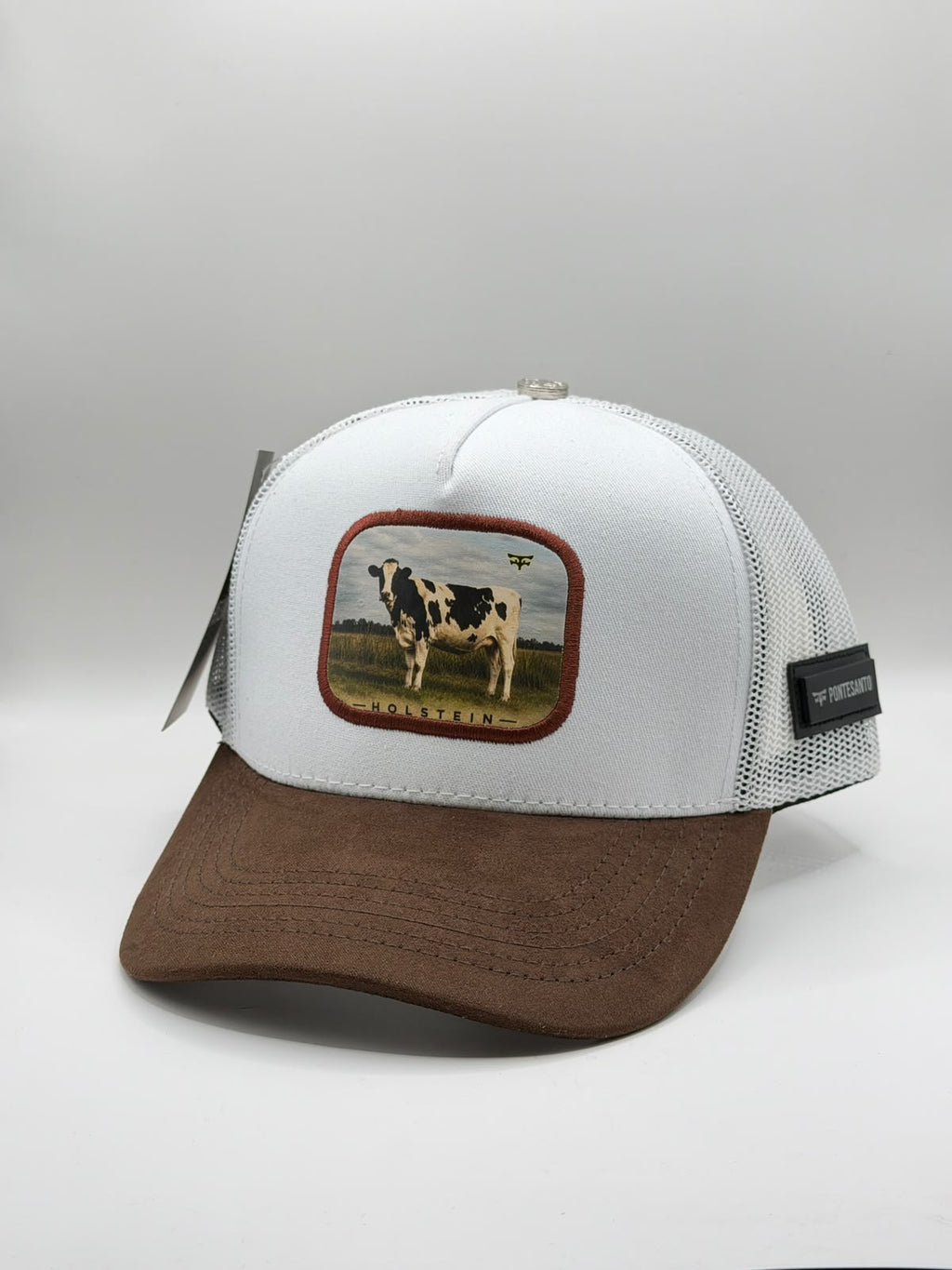 HOLSTEIN